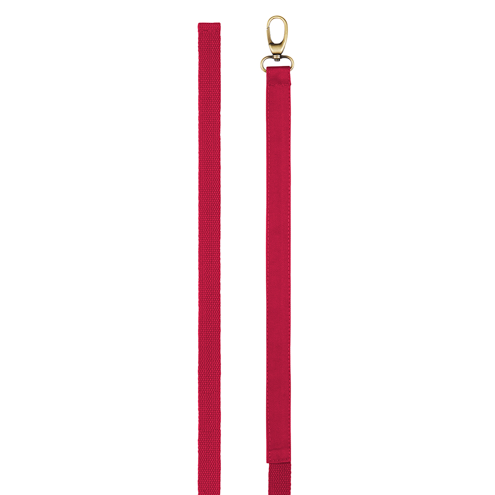 Ersatzband mit Karabinerharken.